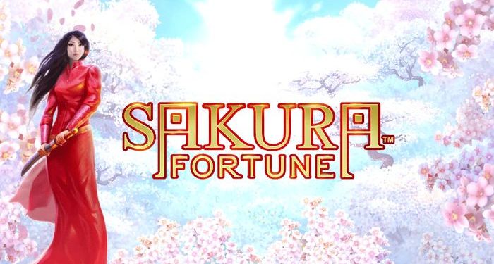 Sakura Fortune