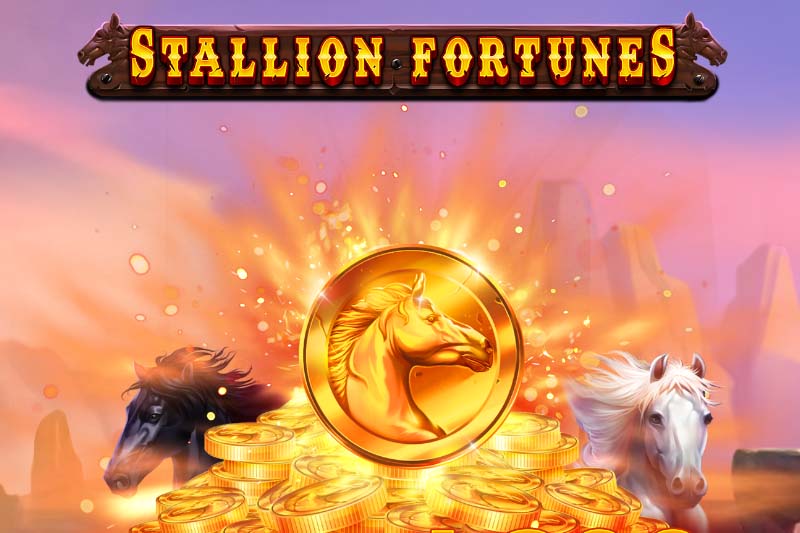 Stallion Fortunes